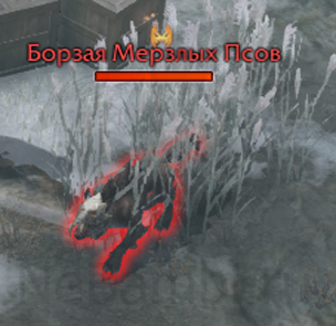 уникальные противники Борзая Мерзлых Псов атлас искателя шувьерд лост арк lost ark 2.0