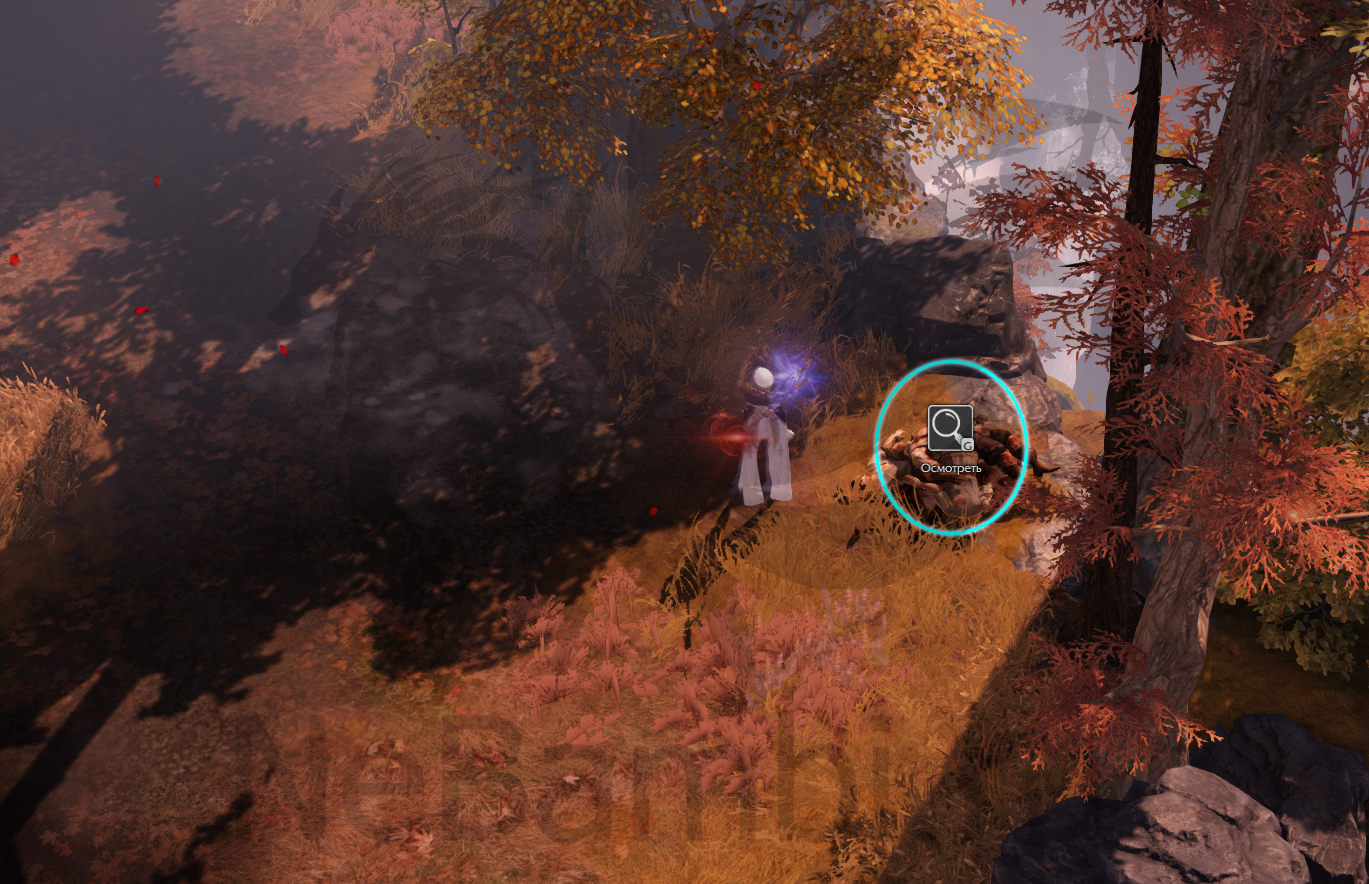 скрытые истории Красавица Мэри 4 из 4 атлас искателя южный берн лост арк lost ark 2.0