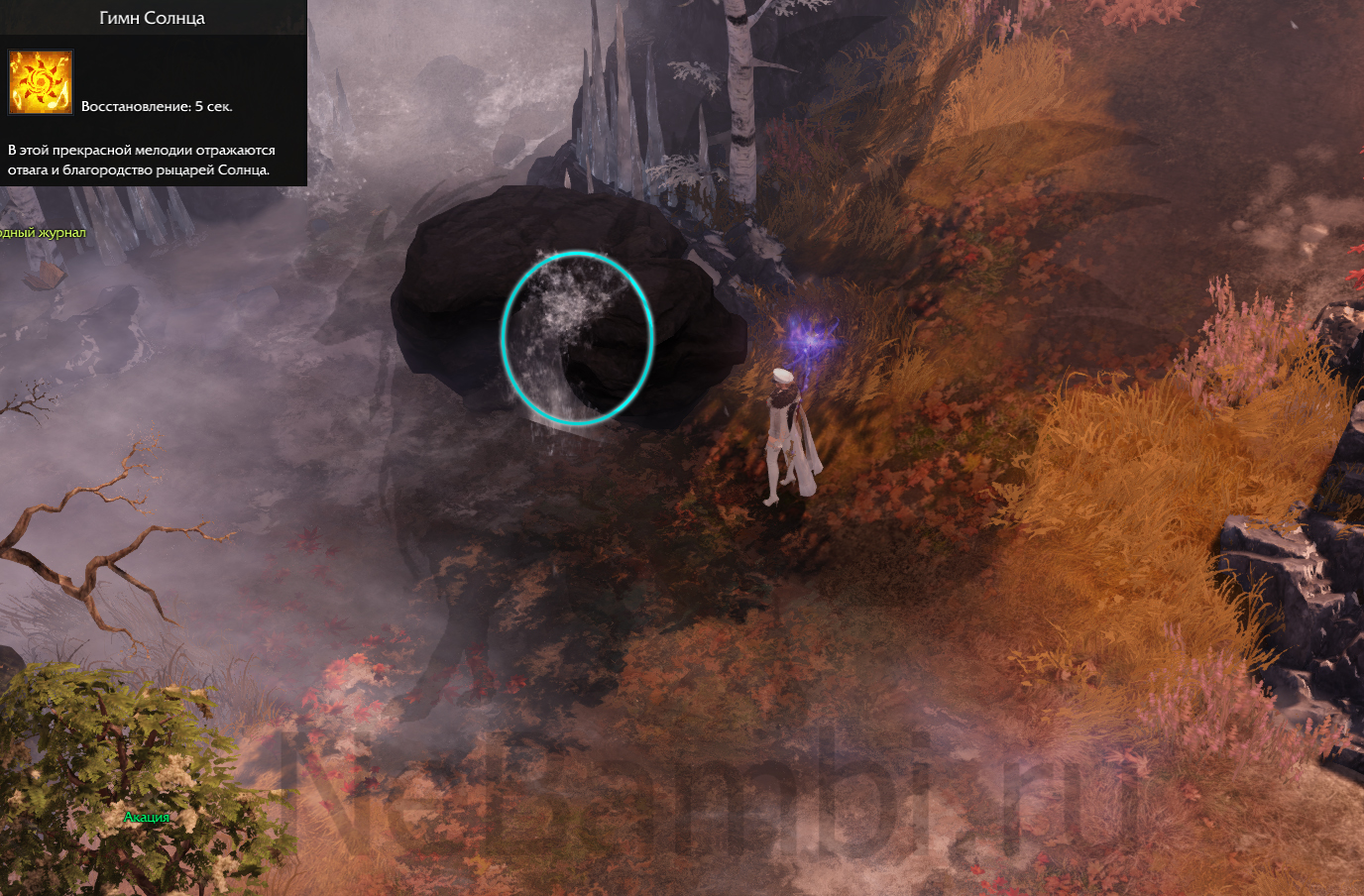 семена мококо южный берн лост арк lost ark 2.0