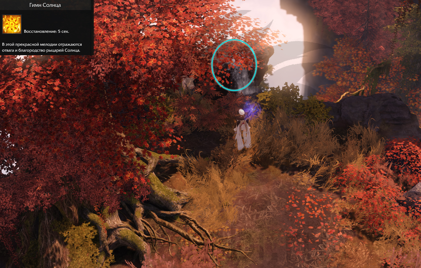 семена мококо южный берн лост арк lost ark 2.0