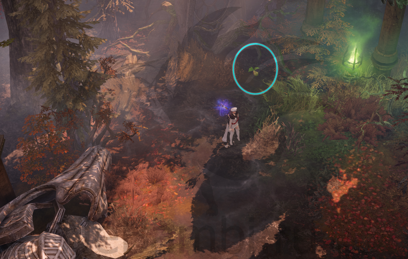 семена мококо южный берн лост арк lost ark 2.0