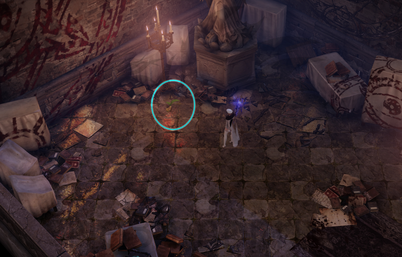 семена мококо южный берн лост арк lost ark 2.0