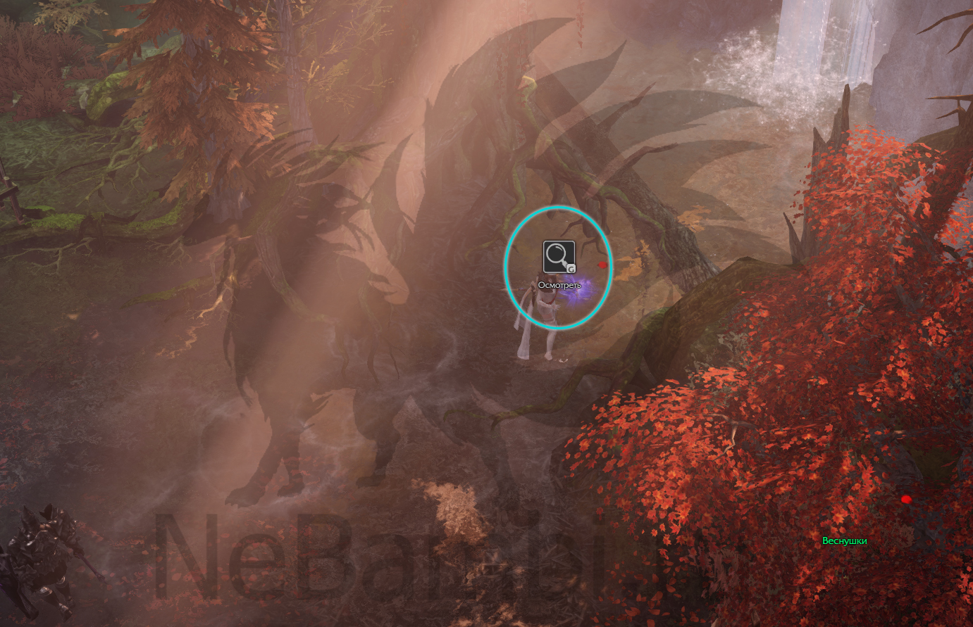 рецепты Копченый рак атлас искателя южный берн лост арк lost ark 2.0