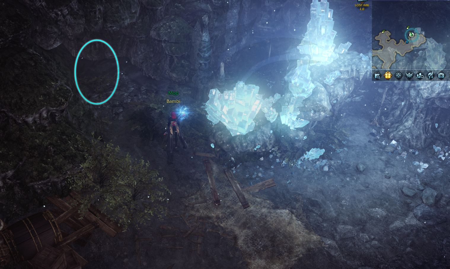 семена мококо йон лост арк lost ark 2.0