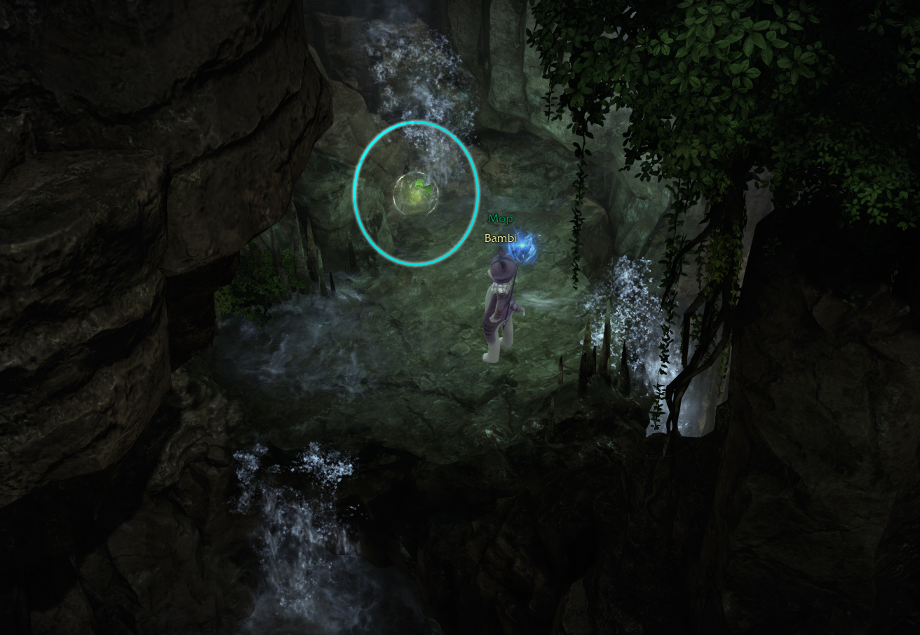 семена мококо йон лост арк lost ark 2.0