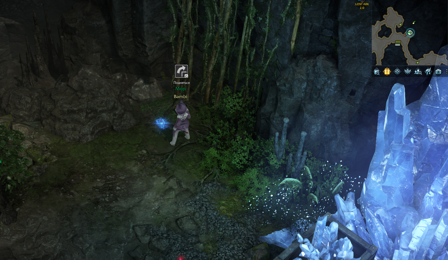 семена мококо йон лост арк lost ark 2.0