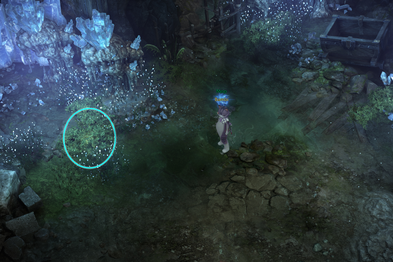 семена мококо йон лост арк lost ark 2.0