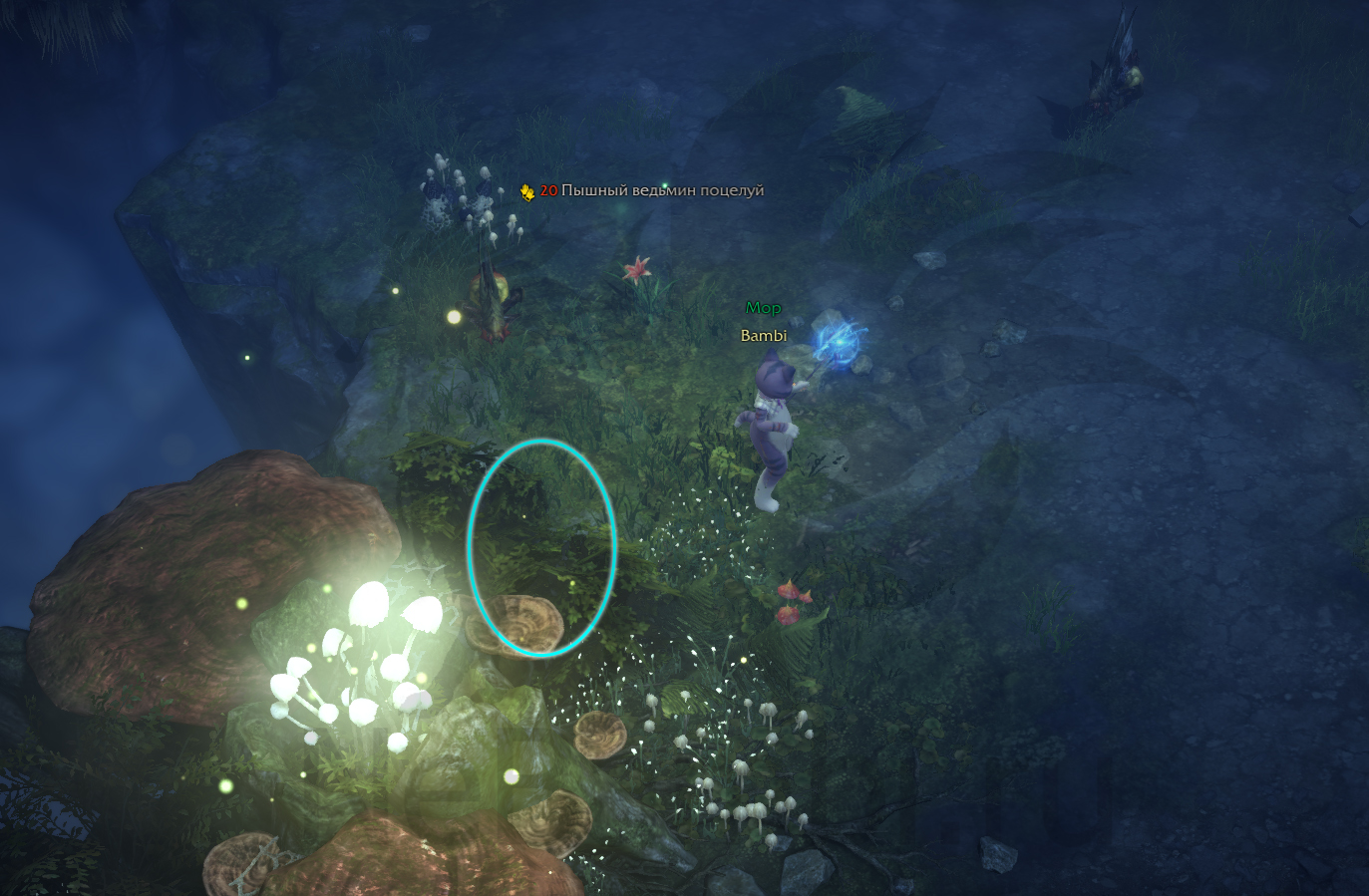 семена мококо йон лост арк lost ark 2.0