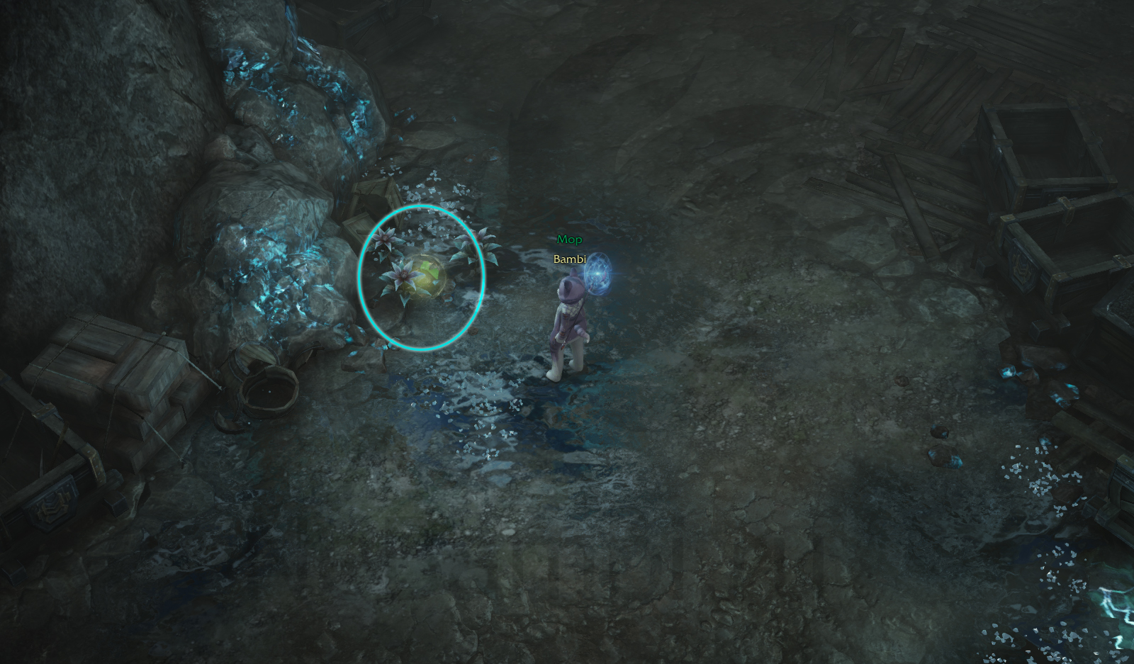 семена мококо йон лост арк lost ark 2.0