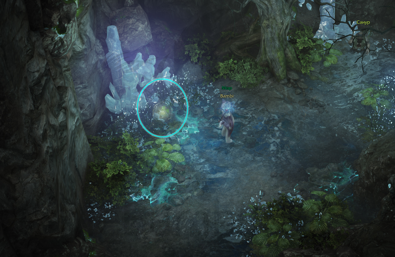 семена мококо йон лост арк lost ark 2.0