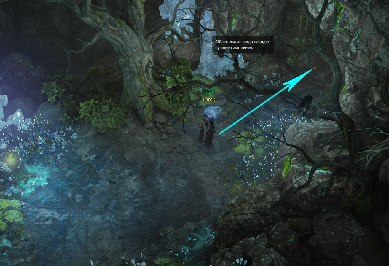 семена мококо йон лост арк lost ark 2.0