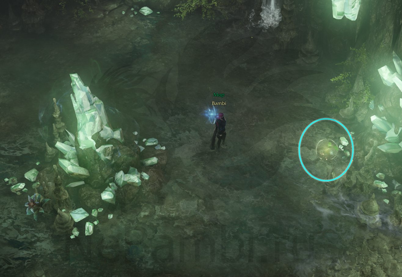 семена мококо йон лост арк lost ark 2.0